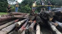Polda Riau Limpahkan Berkas Tersangka Perambah Hutan PT DRT